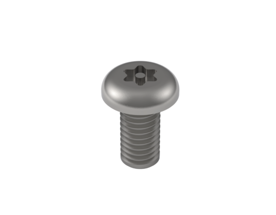 Pan Head Pin Torx Screw 10mm